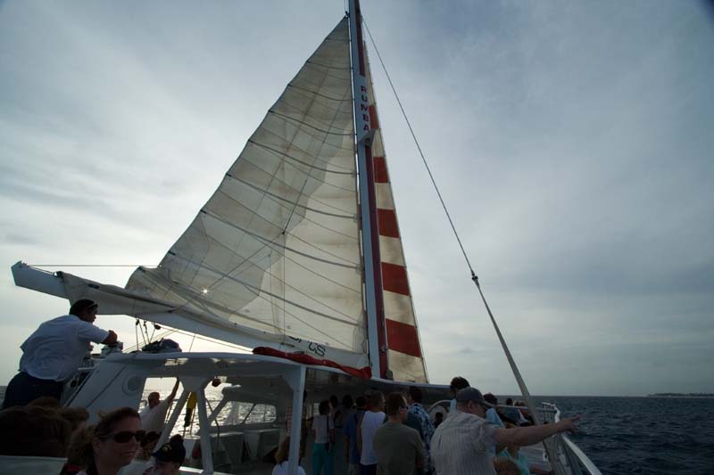 Aruba 62